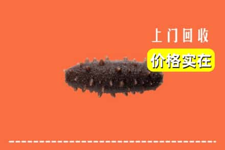 收购资讯:泸州龙马潭区回收海参