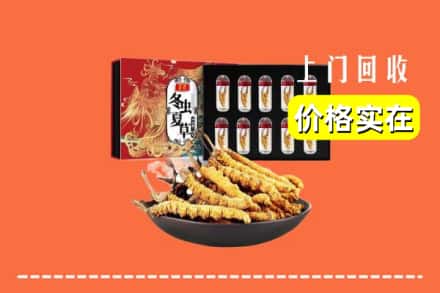 泸州龙马潭区回收虫草