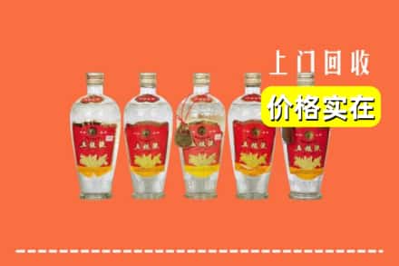 泸州龙马潭区回收老五粮液